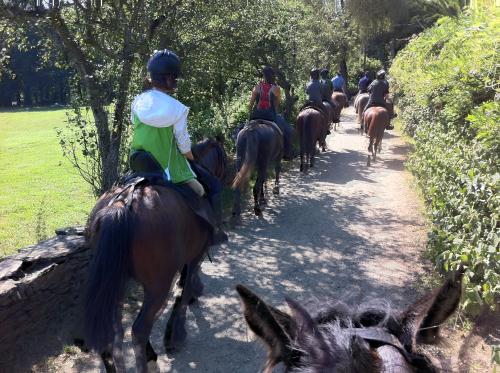 Camino Portugués (8 al 13 junio)