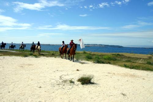 Camino Fisterra (29 septiembre al 10 octubre)