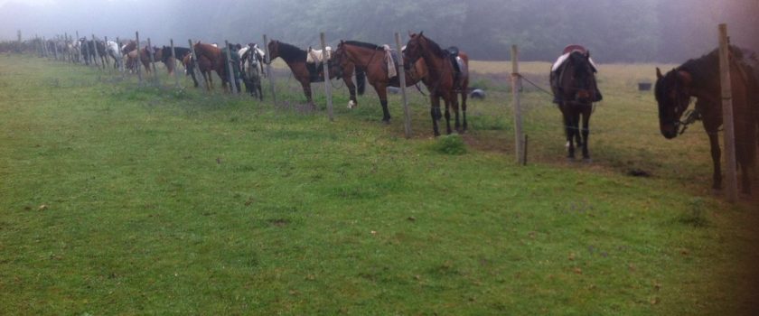 camino-santiago-caballo-slider-3
